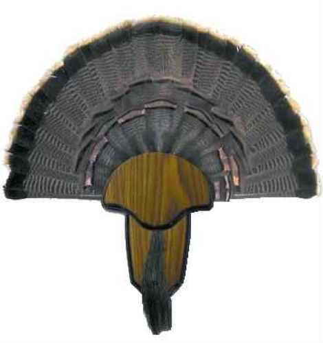 Hunters Specialties Turkey Tail & Beard Mounting Kit 00849